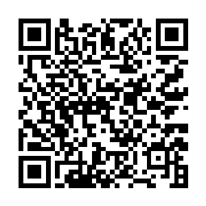 这台跨年歌会才真正开始博得了大量年轻观众的欢心二维码生成