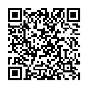 这同样是肆小仙和韩珊珊将小诛仙阵归还给我的原因二维码生成