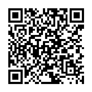 这同界大比根本就没有一条规矩说脏人不能参加的二维码生成