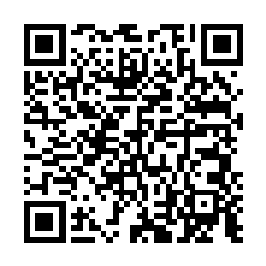 这名元婴的脊椎骨就像是被九环金背大砍刀重重砍了一刀二维码生成