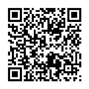 这名大能弟子在王杰面前毫无反抗之力的被虐杀了二维码生成