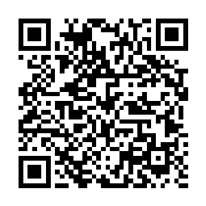 这名妖帅竟是曾被吴岩血身打的重伤而逃的鳄蛟王焦中龙二维码生成