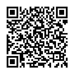 这名少年心中顿时不由的有着一股莫名的紧张感二维码生成