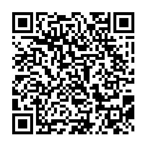 这名早已达到返璞归真境界却刻意让容颜停留在三十岁模样的高大女子二维码生成