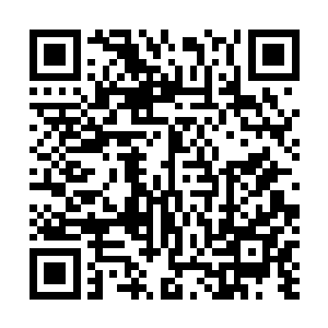 这名病患都必须每个月服用陆无心精心调制的抗排斥药剂二维码生成