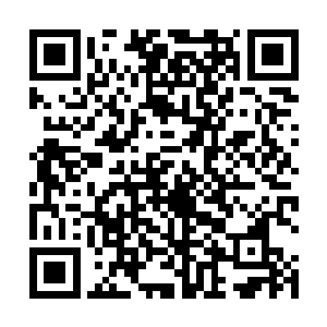 这名被昆仑派掌门清虚真人唤作师叔祖的人身穿一件青二维码生成