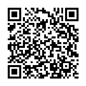 这名辐射族在严酷的废土上修炼出了一手快若闪电的刀法二维码生成