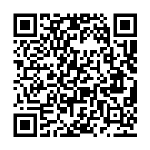 这名黑暗精灵居然也没有展现出狡诈凶狠的一面二维码生成