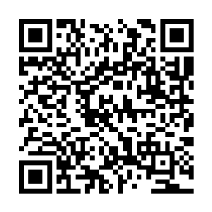 这后续几天还会有大量前期在借钱的人凑足钱交来二维码生成