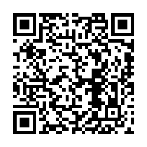 这周围的一切环境竟然都已经发生了天翻地覆的变化二维码生成