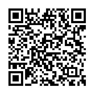 这周天星斗大阵就已经被这恐怖的力量所摧毁了二维码生成