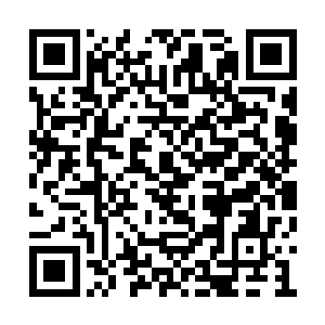 这周青莲虽然只是轻轻抬起手朝林少宝隔空抓去二维码生成