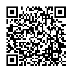 这和人得到某种命令和足够的生存能量去执行命令有什么区别二维码生成
