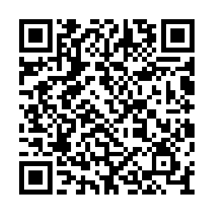 这和彻底的卖身成为仆人换取资源又有什么区别二维码生成