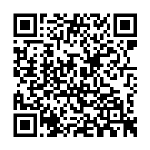 这和昨天义尔给那尸体放进去的那陶罐一模一样二维码生成