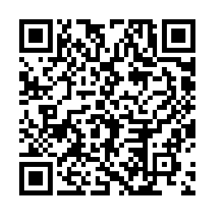 这和苏青黛之前了解到的有关赵思宁的性情完全不符合二维码生成