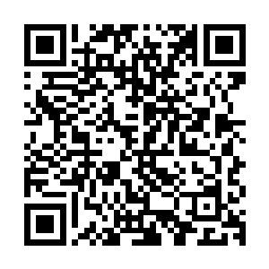 这咐遥望许多牛羊马一类的牲畜被牵着寄养高低两墙间的窄巷中二维码生成