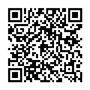 这哪里是他在千叶之森遇到的那个精明冷静的精灵王子二维码生成