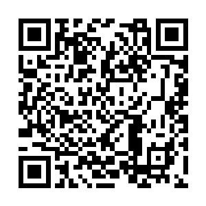 这嚎啕大叫差点没吓坏了跟在季疏云身后的褚璇玑二维码生成