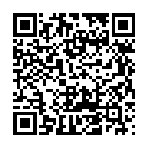 这四个护套是苏凡在那小岛之上的时候那名老者给苏凡的二维码生成