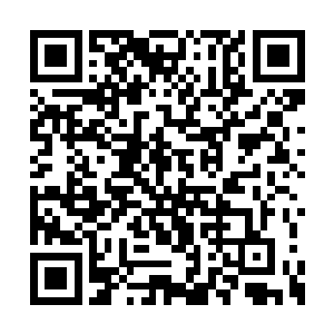 这四五千万倭奴尸兄原本就是徐福给自己准备的二维码生成