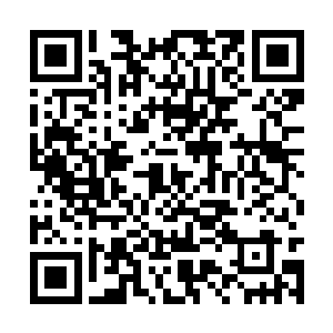 这四大势力的总部分别坐落在灵墟城四面的卫城中二维码生成