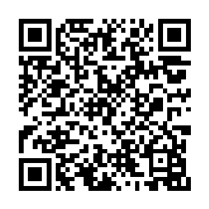 这四大宗门修为最高的修士就是天尊中期巅峰吗二维码生成