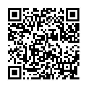 这四架飞机刚起飞就进入了他的导弹不可逃逸区二维码生成