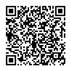 这四样东西在没用掉的前提下所化的拼图牌……应该由我们六个人平均分配二维码生成