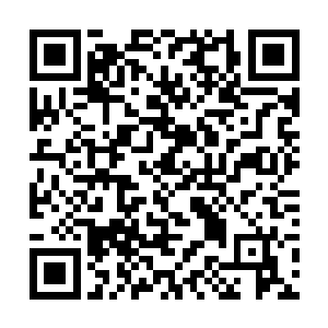 这四象魔器虽然说组合起来威力堪比低阶的伪主神器二维码生成
