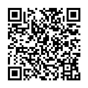 这回就实打实的打在了对方大腿内侧咬着屁臀肉冲进沙地里二维码生成