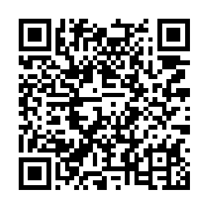 这回很明显在招标会上也不是完全凭关系才能获胜二维码生成