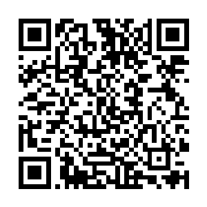 这回无论是霸王军亦或是曹魏军的将士都杀红了眼睛二维码生成