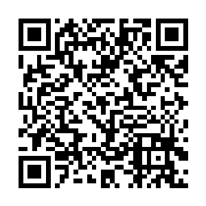这回是为了给另一位添堵~当然也顺便给阿尧添点堵~咩哈哈二维码生成