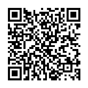 这回洪大力算是明白为什么自己这身体从出生开始就那么弱了二维码生成