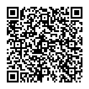 这回洪大力终于想起来了这玩意不就是后期系统出现的那个兑换高等技能的东西吗二维码生成