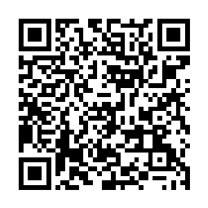 这在上元大陆根本就没有出现过上品初期先期先天仙符二维码生成