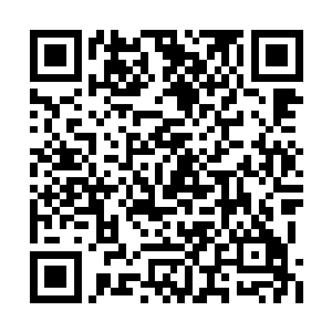 这在杨风的生命当中是从来都秘银遇到过的情形二维码生成