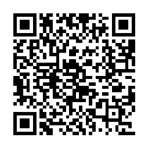 这在那些对冰神殿有所了解的十大守护家族心中二维码生成