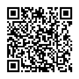 这地下的那些白骨都开始蠢蠢欲动朝着这边来了二维码生成