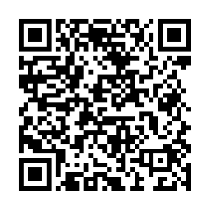 这地仙五重天的小子遇见他们应该是吓的屁滚尿流的二维码生成