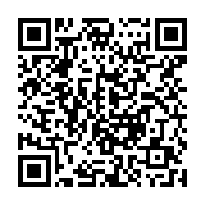 这地心神焰来到这里之后应该轻松的被自己禁锢才对二维码生成