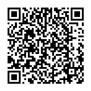 这场决赛将要从八百一十名最强大的弟子中再另选出十名最强的弟子二维码生成