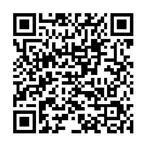 这场大战持续得比许紫烟和混沌兽的大战久了很多二维码生成