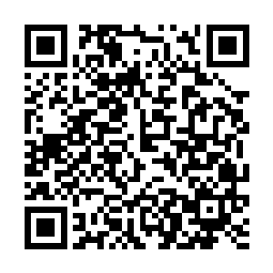 这场战争到底能杀死多少妖族――尽可能的杀戮对手二维码生成