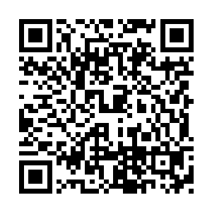 这场无数人瞩目的中国队对约旦队的比赛开始了二维码生成