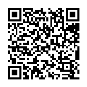 这场景让秦策想起了冬日里躺在火炉边睡觉的猫咪二维码生成