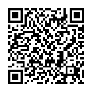 这场比赛的所有收益都将捐给荣光名下的一个灾后重建基金二维码生成