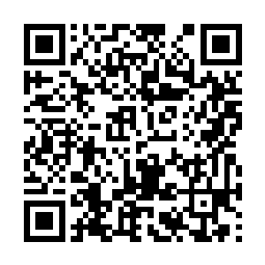 这场血战的规模和残酷程度都超出所有狼人的记忆二维码生成