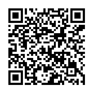 这场赌赛已经可以称之为星光大陆高水平的符道大赛了二维码生成